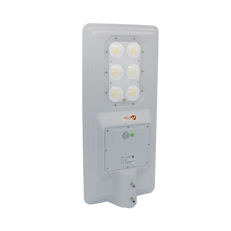 六星100W太阳能路灯(LS-SS02-100W)